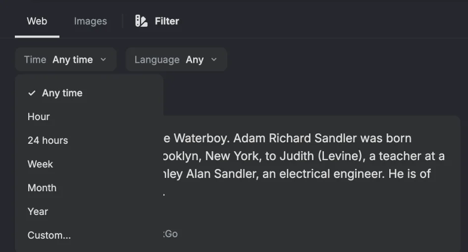 The Web and Images tabs with Filter next to them. Below are Time and Language drop-downs, and the Time list is open showing Any time, Hour, 24 hours, Week, Month, Year and Custom.