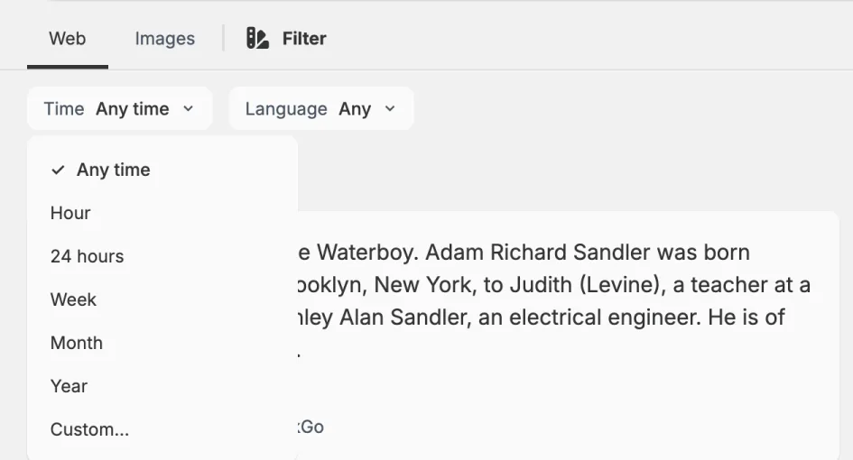 The Web and Images tabs with Filter next to them. Below are Time and Language drop-downs, and the Time list is open showing Any time, Hour, 24 hours, Week, Month, Year and Custom.